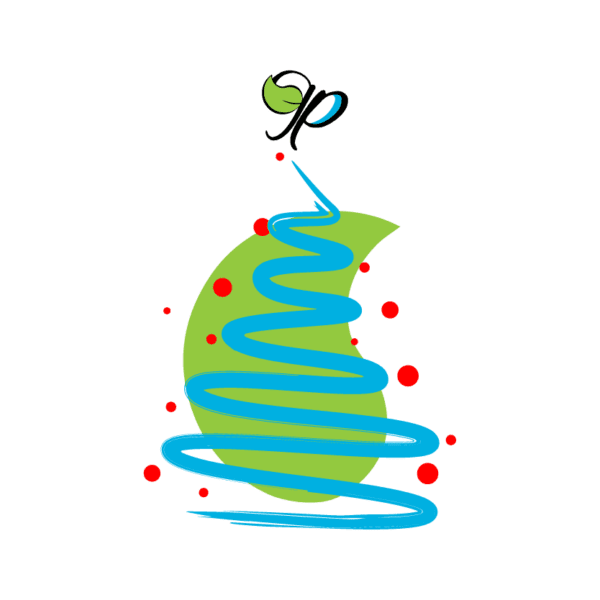 Ultimate Guide To Christmas Light Installation Tips Christmas Light
