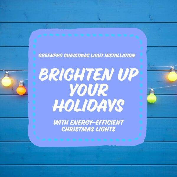 Energy Efficient Christmas Lights In Tulsa Shine Green