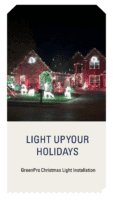 outdoor xmas lights
