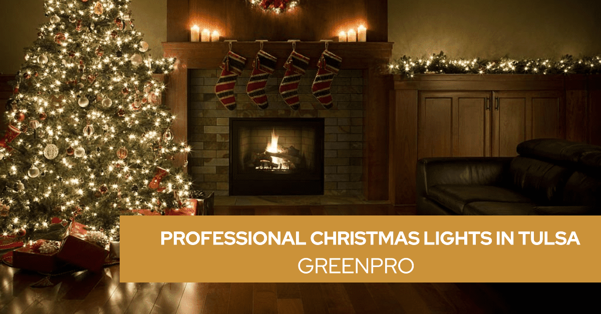 Illuminate Your Holiday Season with Professional Christmas Lights In